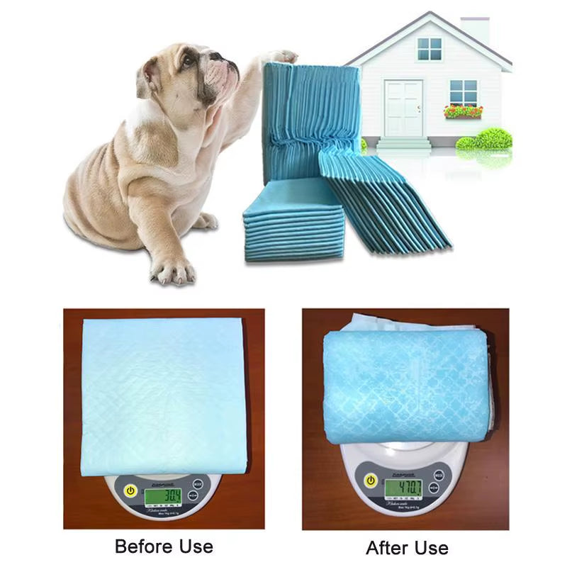 Disposable Dog Diaper Puppy Training Pad